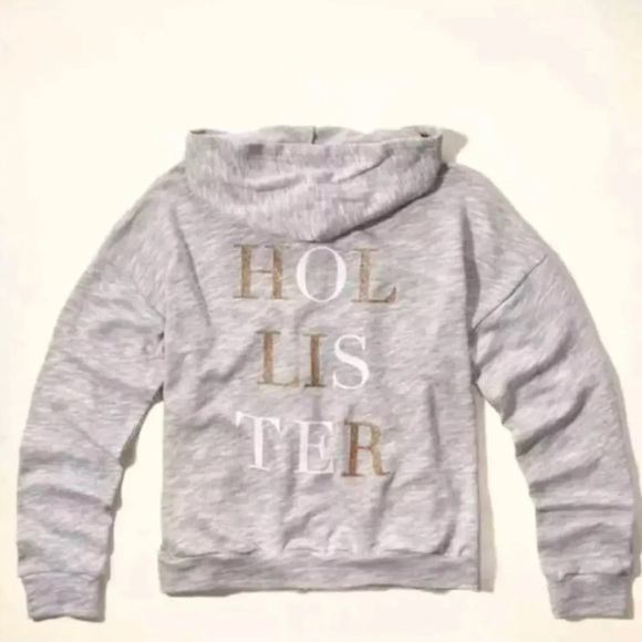 (NWT) Hollister Women’ Shine Logo Graphic Hoodie in Light Heather Grey, XS - Picture 3 of 4